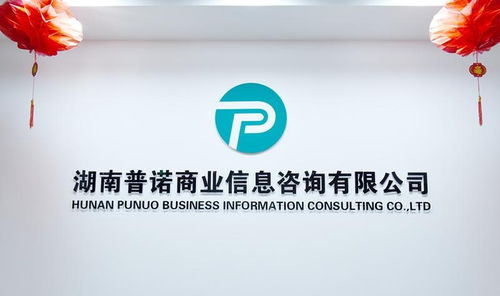 湖南普諾商業(yè)信息咨詢 賦能企業(yè)決策的專業(yè)信息咨詢服務